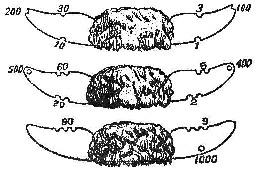 livestock ear graphic